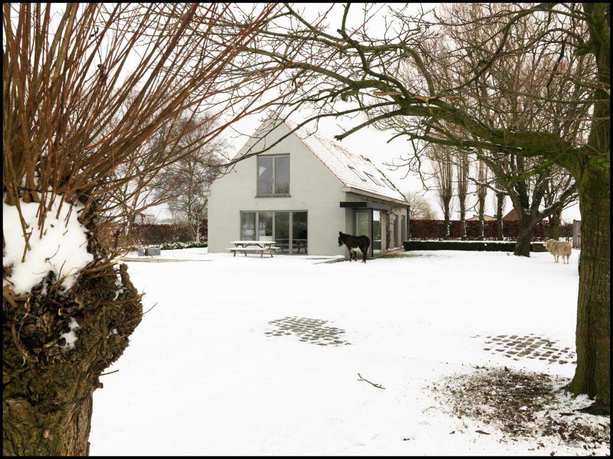 Rooseboom22 Bed & Breakfast Aartrijke Exterior photo