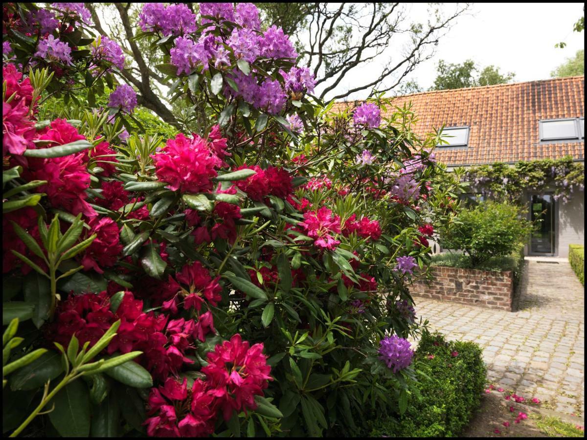 Rooseboom22 Bed & Breakfast Aartrijke Exterior photo